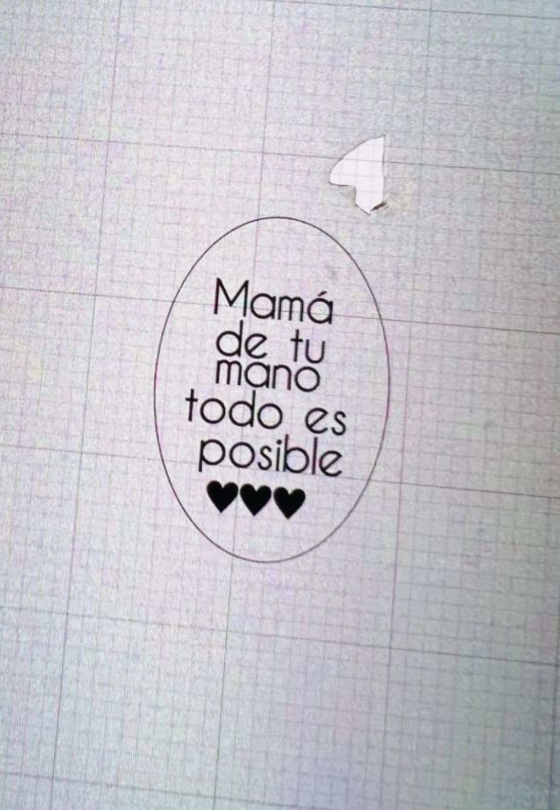 Medalla de plata 20mm. Ovalo