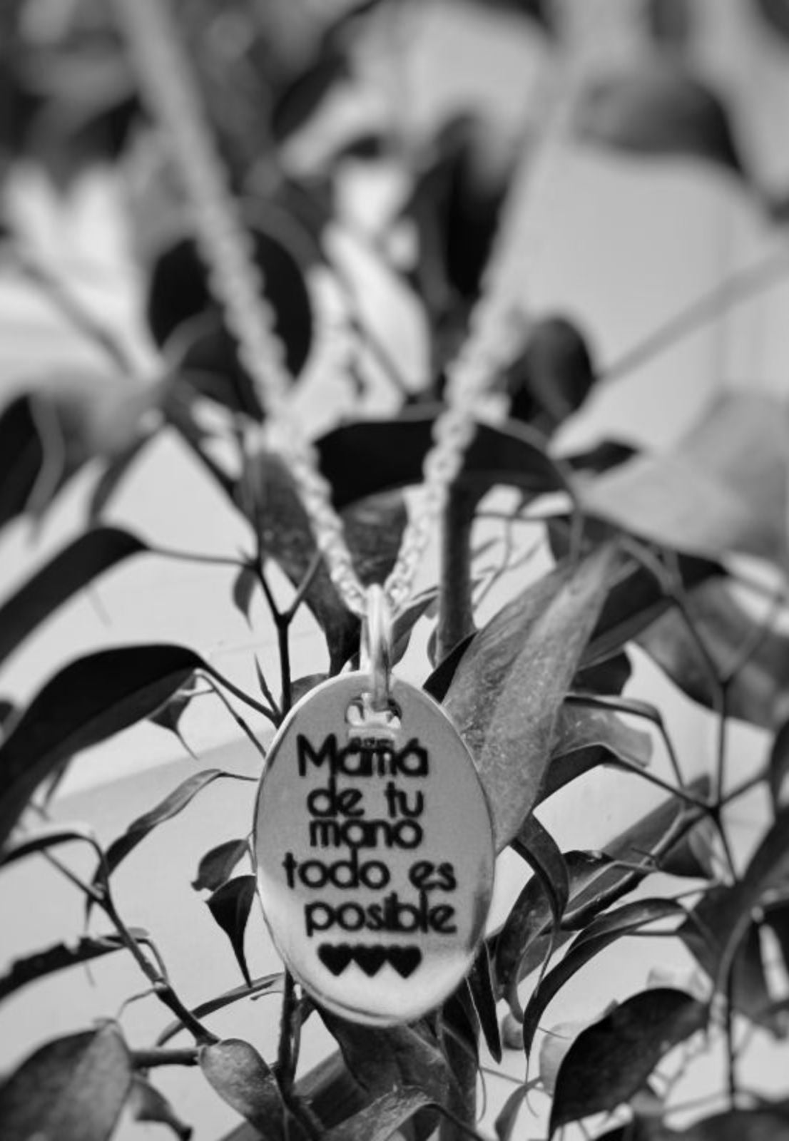 Medalla de plata 20mm. Ovalo